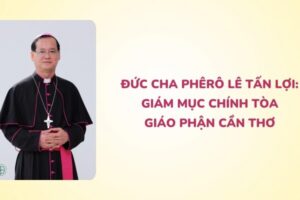 giao-xu-cat-noi giao-xu-cat-noi