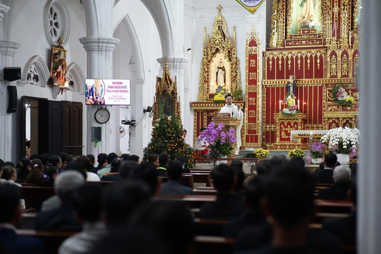 giao-xu-cat-noi Giáo xứ Cát Nội - Thánh Lễ Mùng 2 Tết