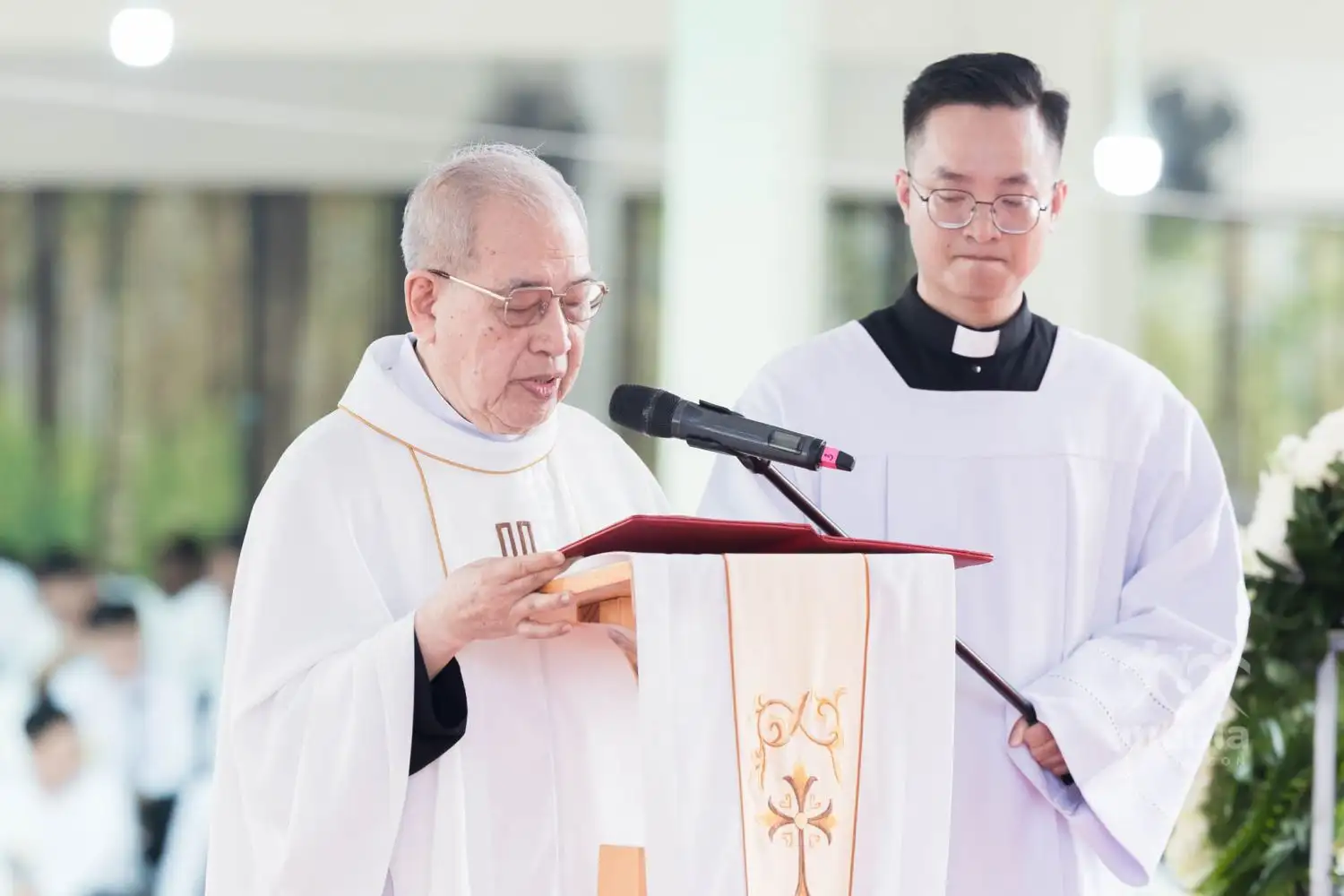 giao-xu-cat-noi Đại lễ truyền chức Giám mục - Đức cha Gioan Baotixita Nguyễn Quang Tuyến